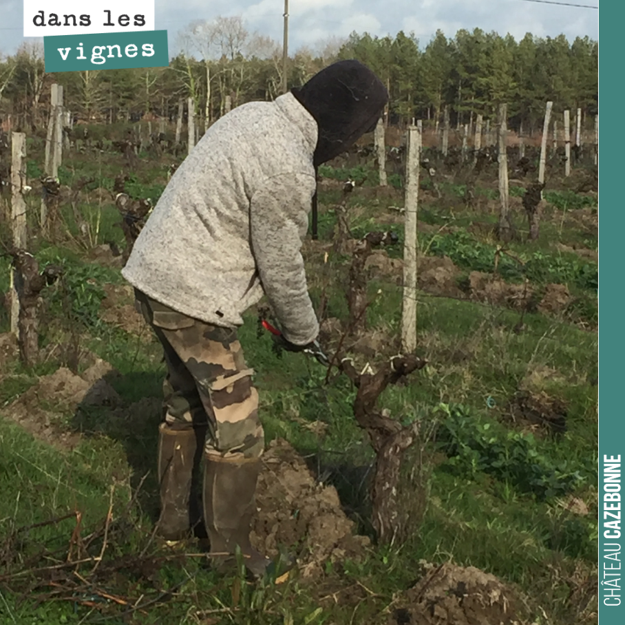 Benjamin pruning in the Cousines plot.