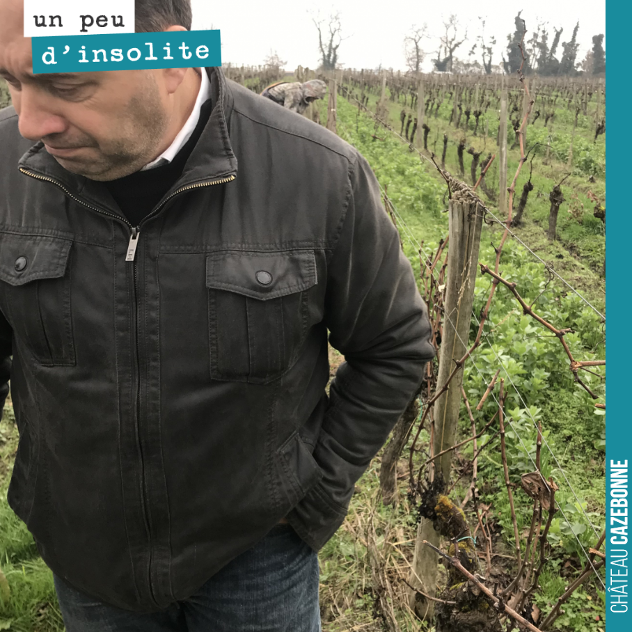 David is pulling a face when he sees how little wood the hail has left us for pruning.
Roll on spring!