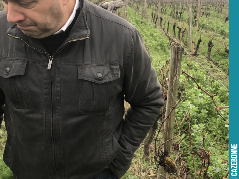 David is pulling a face when he sees how little wood the hail has left us for pruning.
Roll on spring!