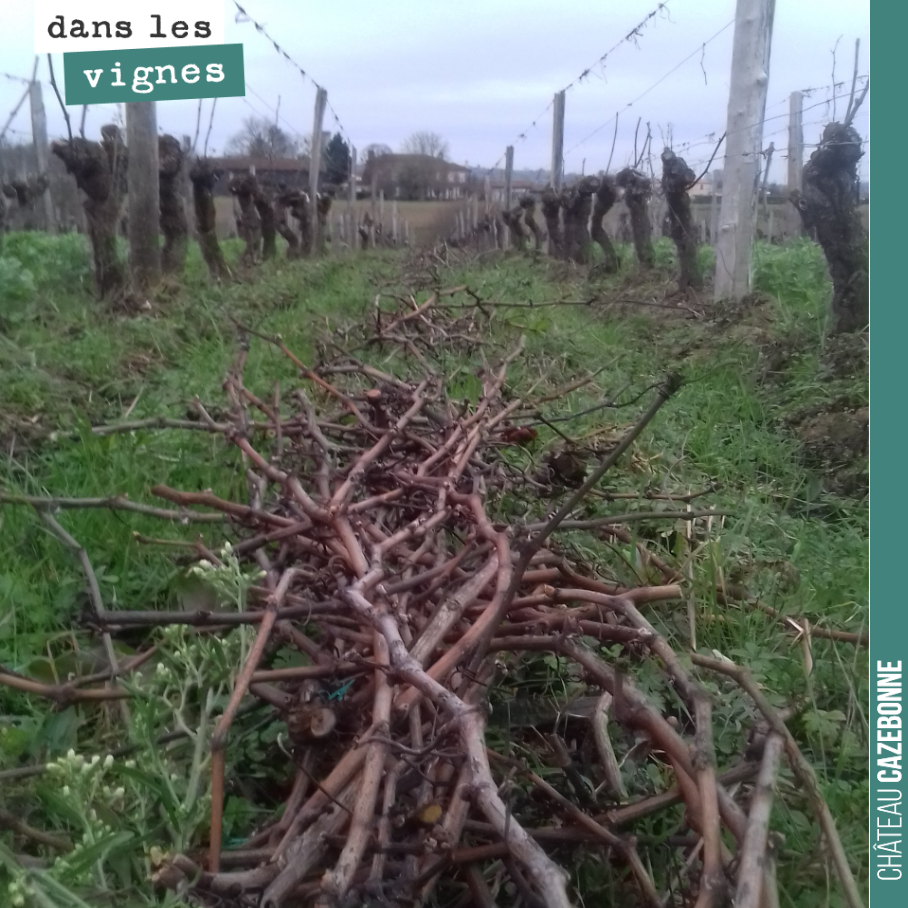 Pruning continues, slowly but surely...