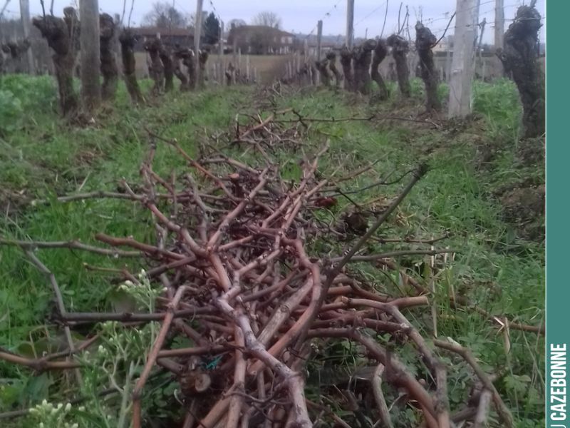 Pruning continues, slowly but surely...