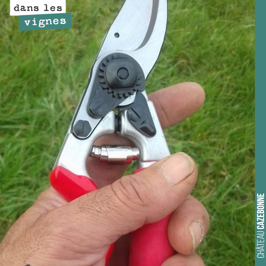 Francis has just joined us. We gave him a brand-new pair of secateurs, left-handed, of course.
