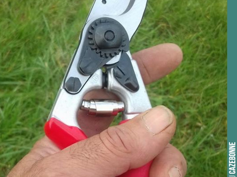Francis has just joined us. We gave him a brand-new pair of secateurs, left-handed, of course.