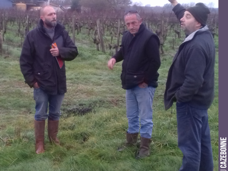 Today, we are touring the parcels to decide on the pruning strategy. Olivier does us the honour, as he does every year, of visiting from Margaux to share his expert advice.
It won't...