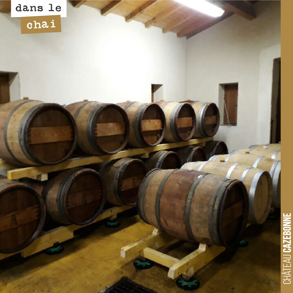 Our 2017 reds continue their ageing in our small barrel cellar.
We should be bottling them at the end of winter.