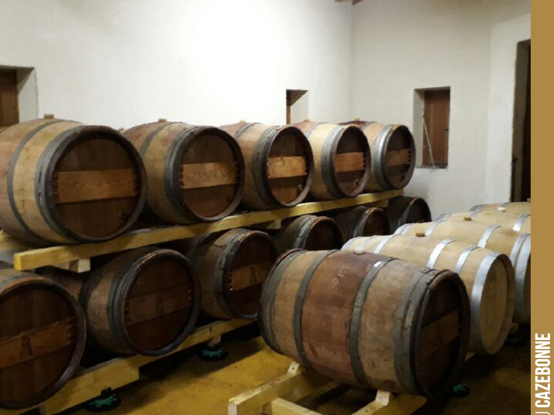 Our 2017 reds continue their ageing in our small barrel cellar.
We should be bottling them at the end of winter.