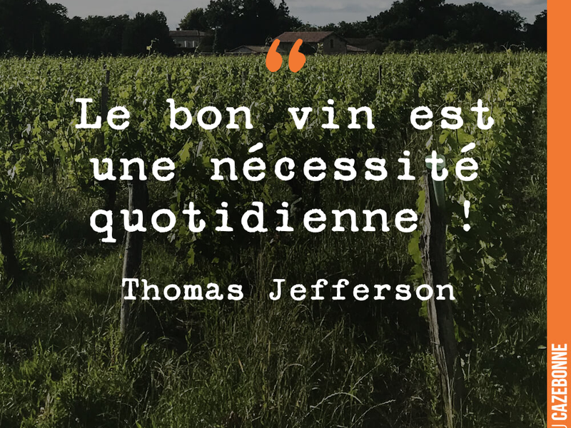 Le bon vin est une nécessité quotidienne !