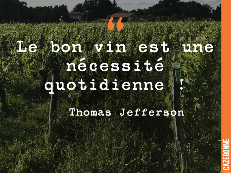 Le bon vin est une nécessité quotidienne !