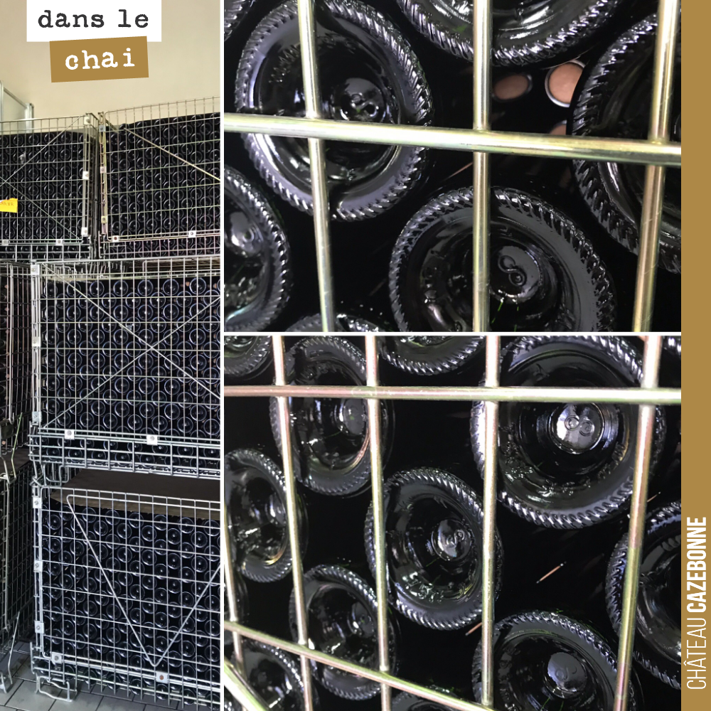 21,000 bottles of our red cuvée ‘Entre amis’ are resting patiently before their release.
We will need to wait a few months. The wine has bottle shock, it is never a good idea to t...