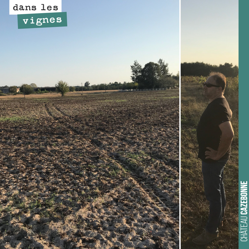 David looking over the Maine plot, which we will be planting in the spring, probably ungrafted (franc de pied).
We are awaiting the results of the soil analyses.