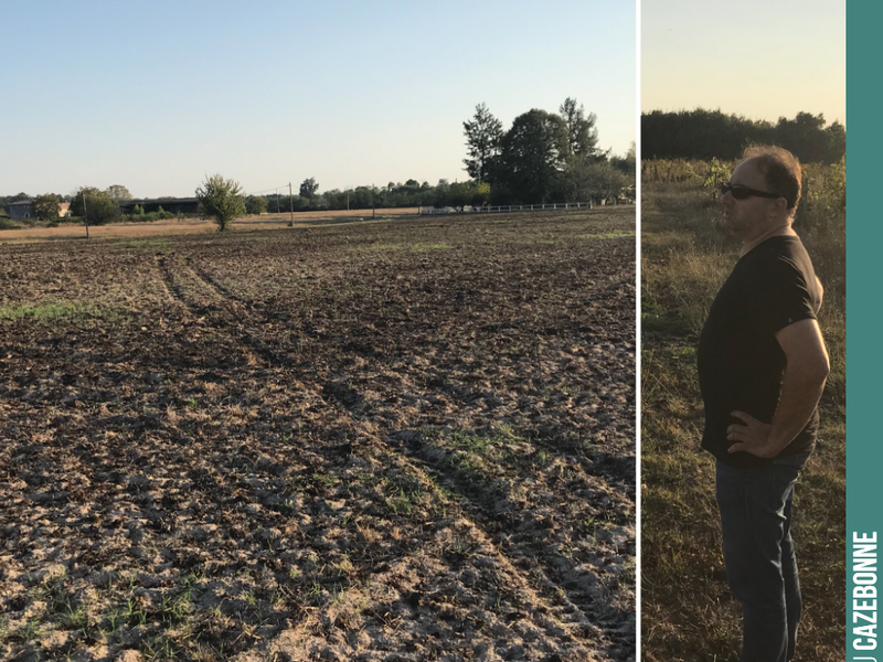 David looking over the Maine plot, which we will be planting in the spring, probably ungrafted (franc de pied).
We are awaiting the results of the soil analyses.