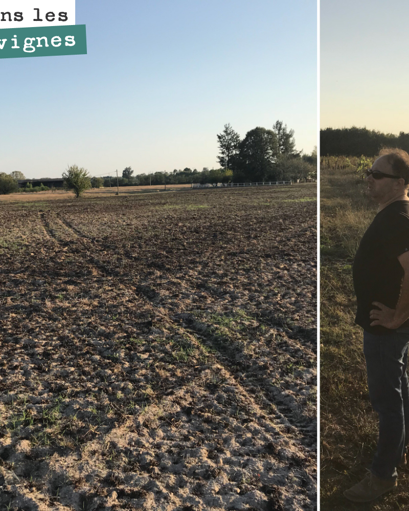David looking over the Maine plot, which we will be planting in the spring, probably ungrafted (franc de pied).
We are awaiting the results of the soil analyses.