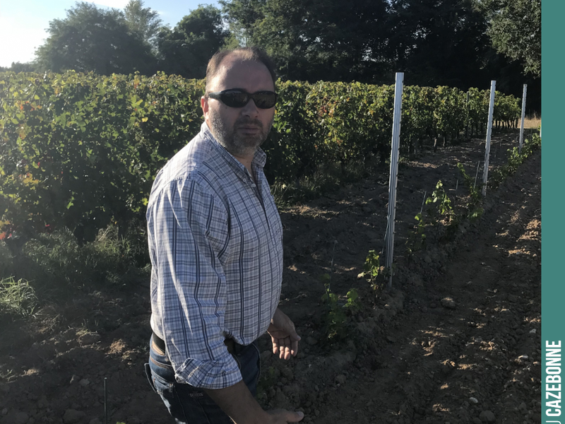A walk through the vineyards with David. Next time, we promise to take a selfie together.