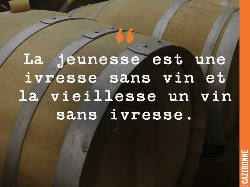 La jeunesse est une ivresse sans vin et la vieillesse un vin sans ivresse.