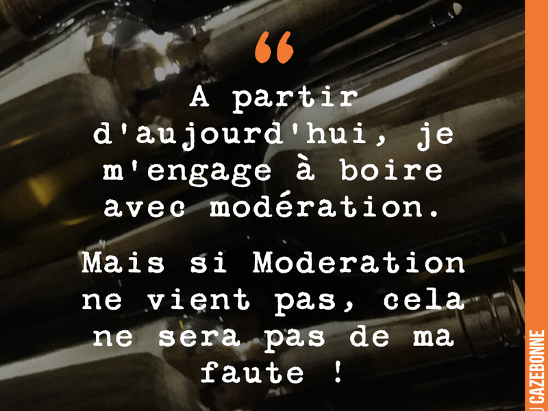 A partir d'aujourd'hui, je m'engage à boire avec modération. Mais si Moderation ne vient pas, cela ne sera pas de ma faute !