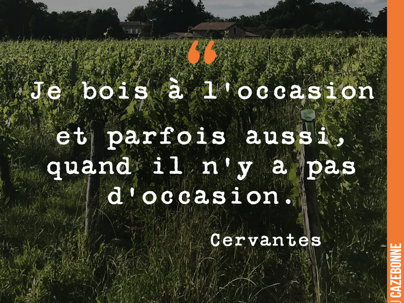 Je bois à l'occasion et parfois aussi, quand il n'y a pas d'occasion.