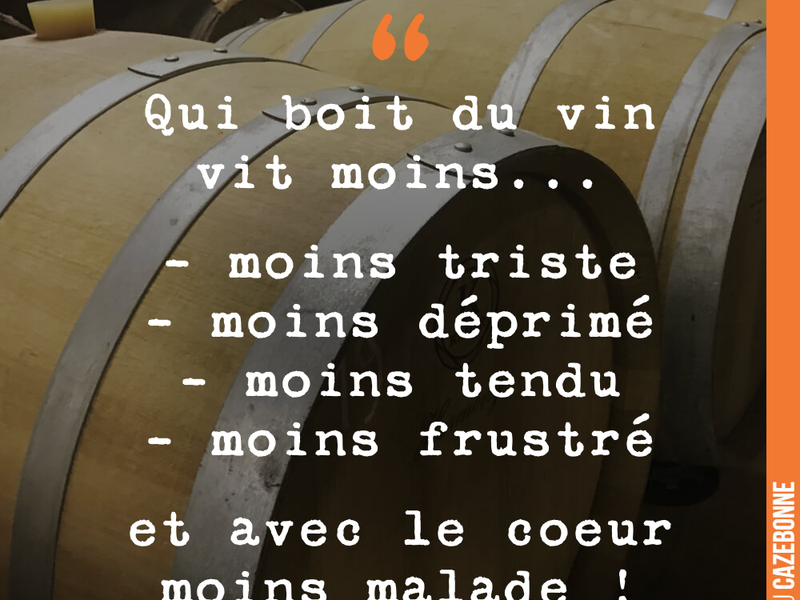 Qui boit du vin vit moins... - moins triste - moins déprimé - moins tendu - moins frustré et avec le coeur moins malade !