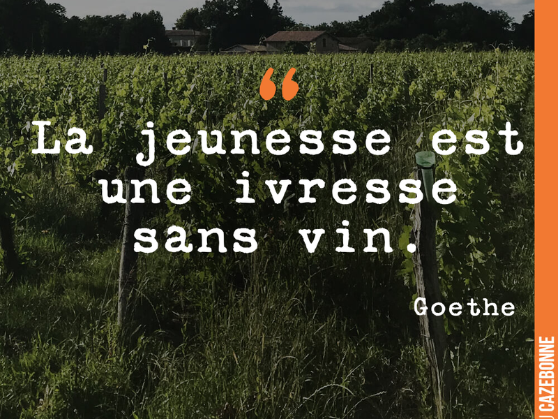 La jeunesse est une ivresse sans vin