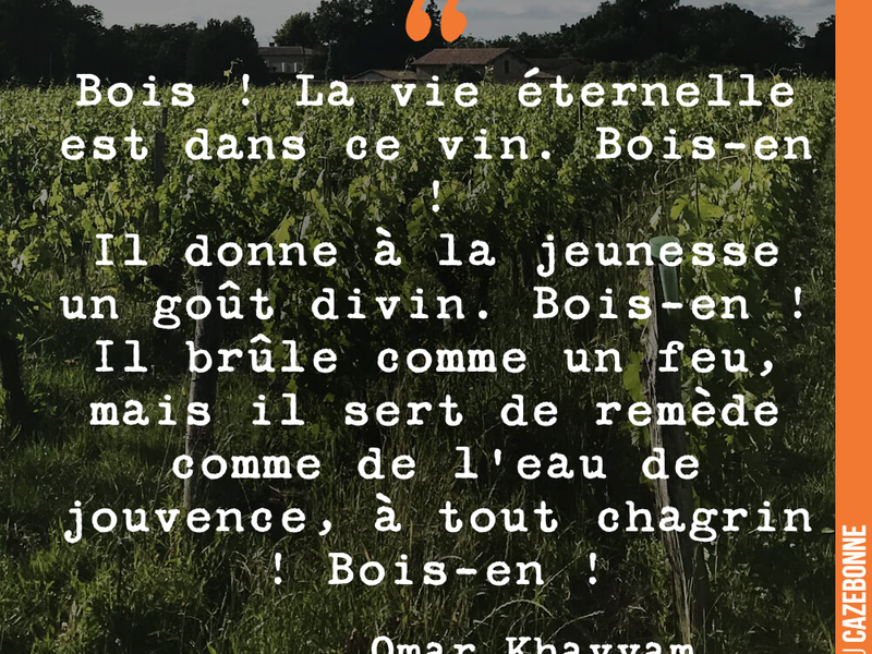Bois ! La vie éternelle est dans ce vin. Bois-en ! Il donne à la jeunesse un goût divin. Bois-en ! Il brûle comme un feu, mais il sert de remède comme de l'eau de jouvence, à tout chagrin ! Bois-en !