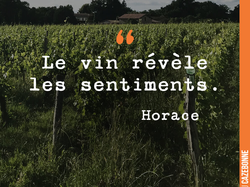 Le vin révèle les sentiments.