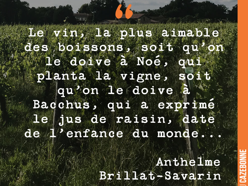 Le vin, la plus aimable des boissons, soit qu'on le doive à Noé, qui planta la vigne, soit qu'on le doive à Bacchus, qui a exprimé le jus de raisin, date de l'enfance du monde...