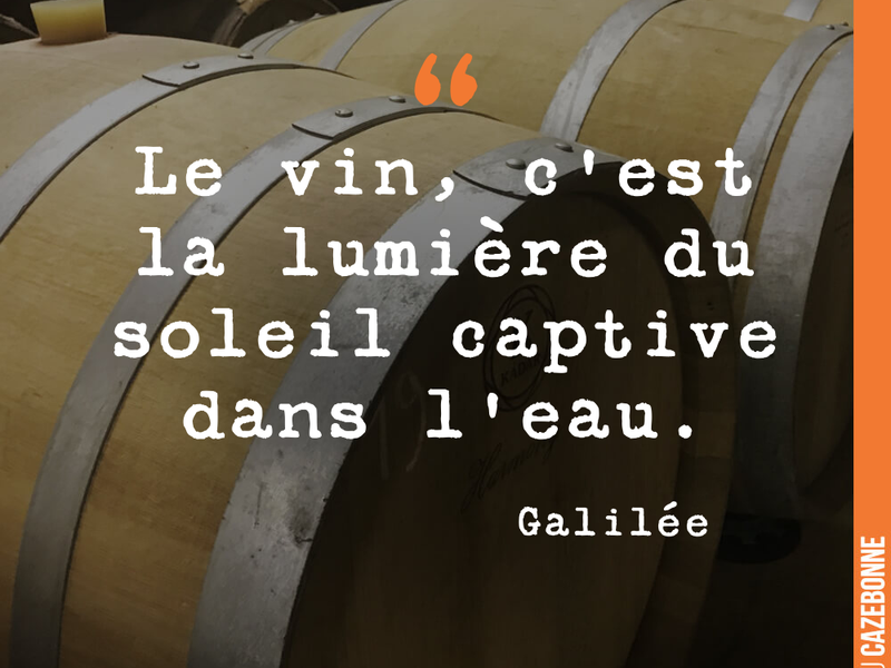 Le vin, c'est la lumière du soleil captive dans l'eau.