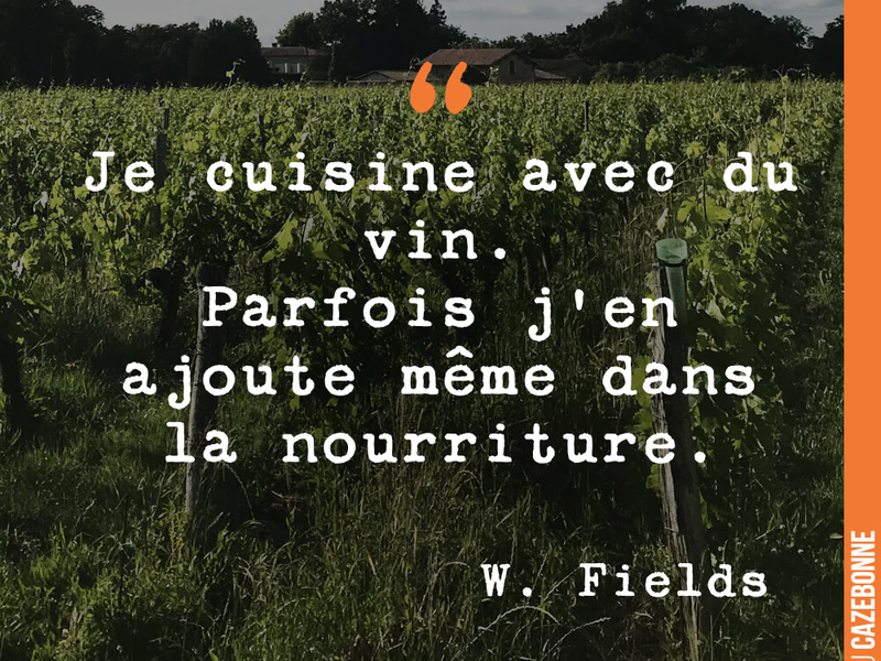 Je cuisine avec du vin. Parfois j'en ajoute même dans la nourriture.