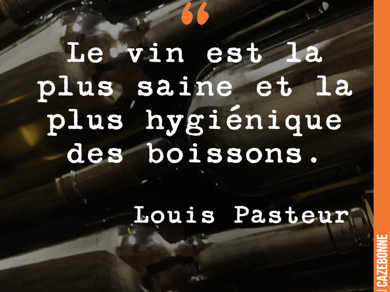Le vin est la plus saine et la plus hygiénique des boissons