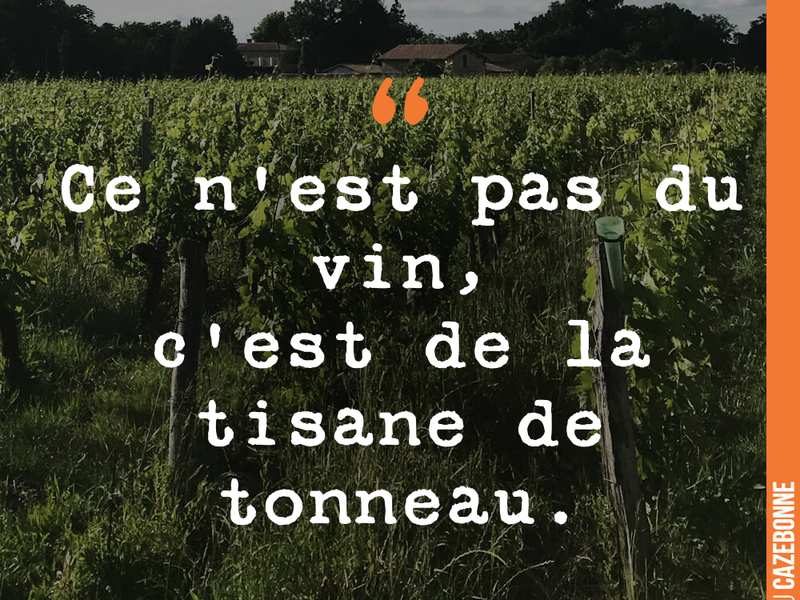 Ce n'est pas du vin, c'est de la tisane de tonneau.