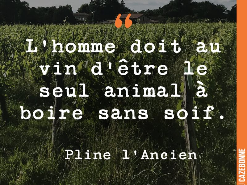 L'homme doit au vin d'être le seul animal à boire sans soif.