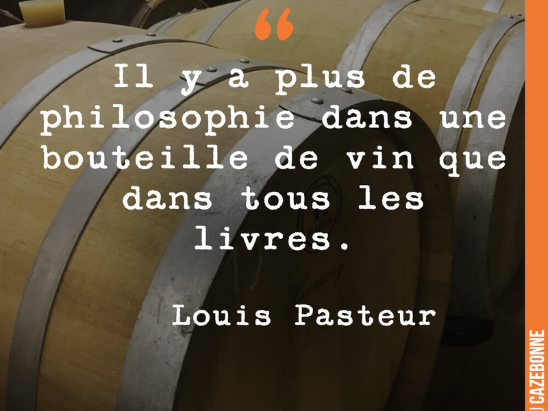 Il y a plus de philosophie dans une bouteille de vin que dans tous les livres.
