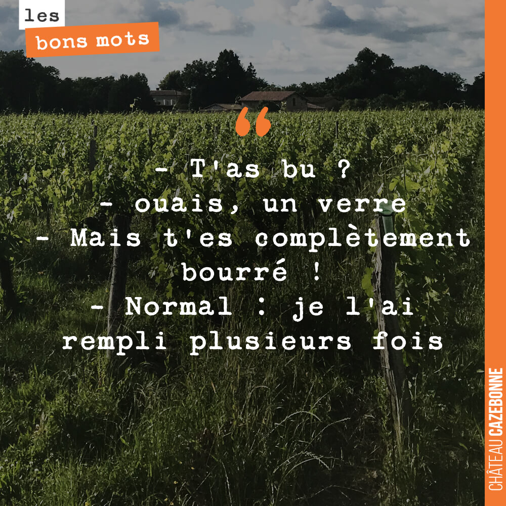 T'as bu ? ouais, un verre Mais t'es complètement bourré ! Normal : je l'ai rempli plusieurs fois