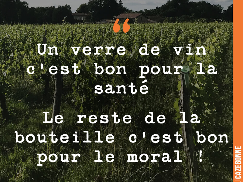 Un verre de vin c'est bon pour la santé Le reste de la bouteille c'est bon pour le moral !