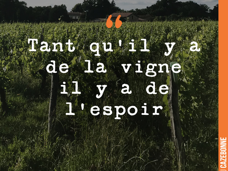 Tant qu'il y a de la vigne il y a de l'espoir