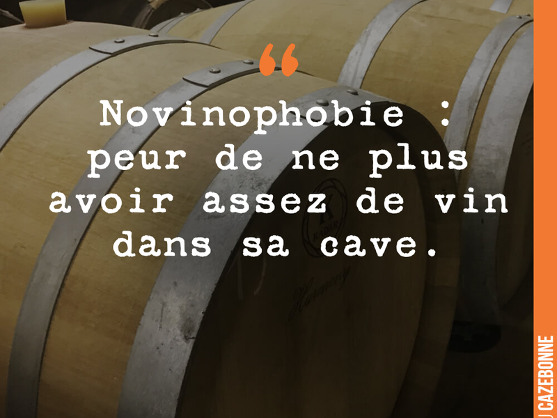 Novinophobie : peur de ne plus avoir assez de vin dans sa cave.