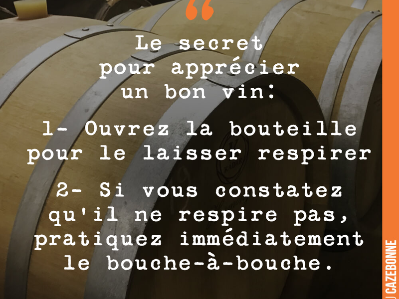 Le secret pour apprécier un bon vin: 1- Ouvrez la bouteille pour le laisser respirer 2- Si vous constatez qu'il ne respire pas, pratiquez immédiatement le bouche-à-bouche.