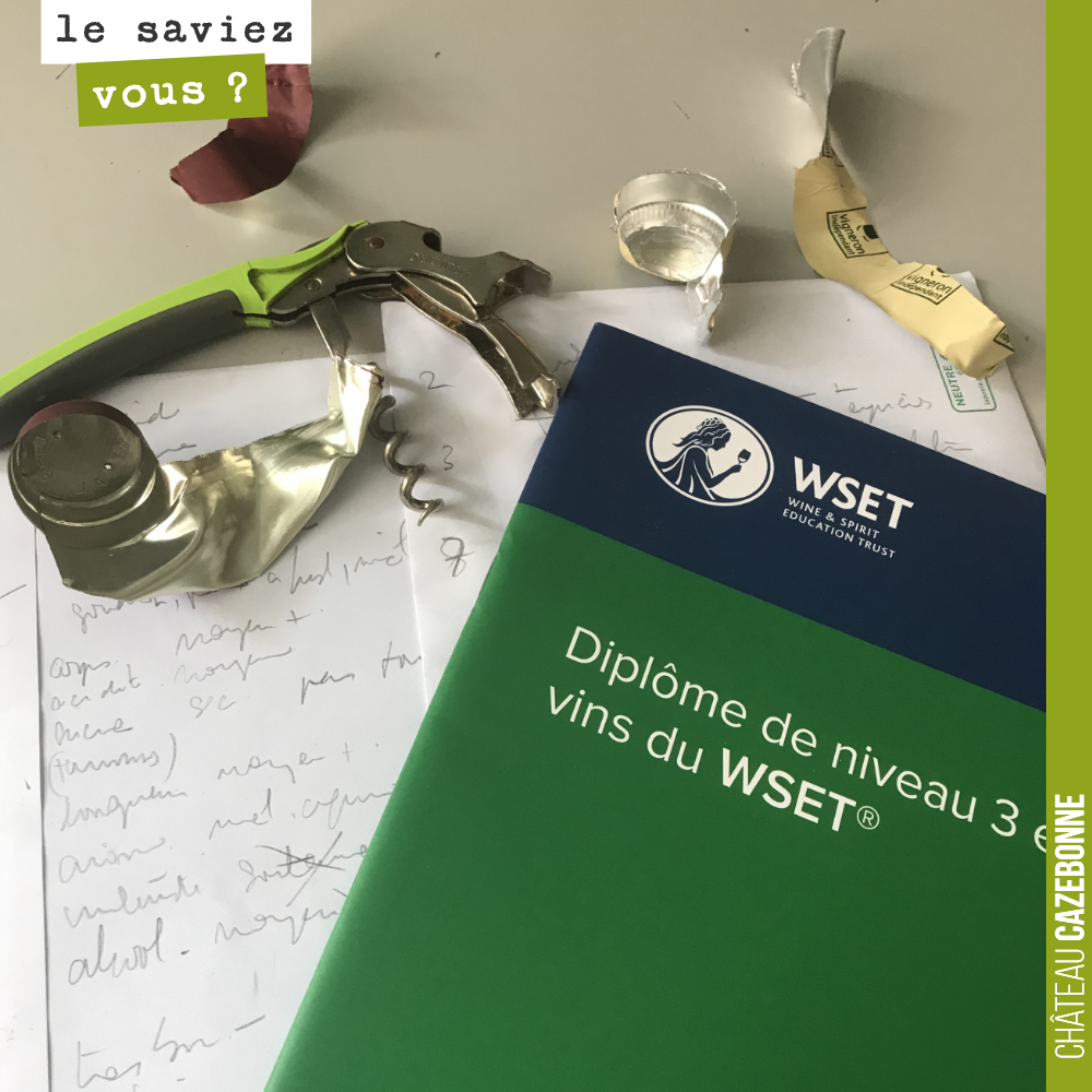 This morning, it is back to the classroom to sit the WSET Level 3 exam.
It has been a long time since I last took an exam.