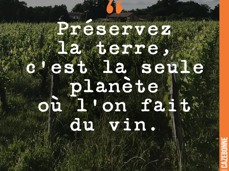 Préservez la terre, c'est la seule planète où l'on fait du vin.