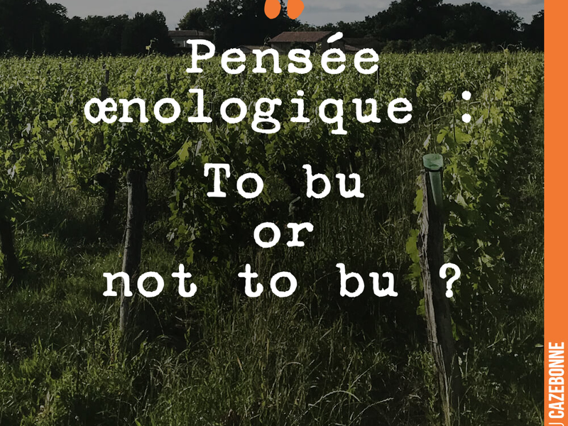 Pensée œnologique : To bu or not to bu ?