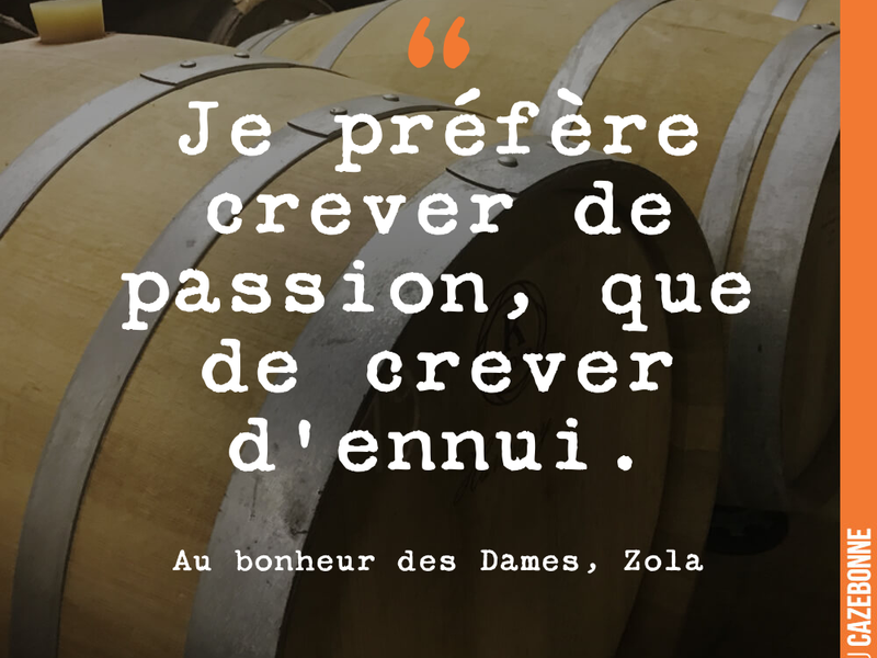 Je préfère crever de passion, que de crever d'ennui.