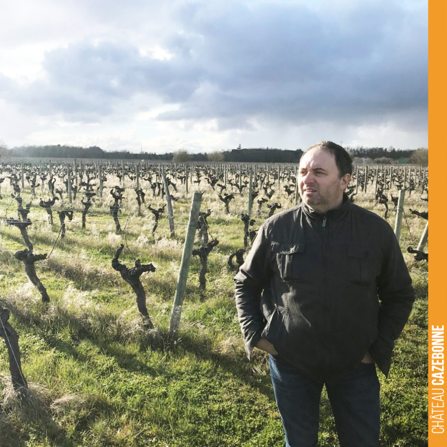 A year ago, I launched the crazy project of inviting you to become co-owners of vines at Château Cazebonne.

For 12 months now, I have been looking for vines to acquire. Not an easy task, as vi...