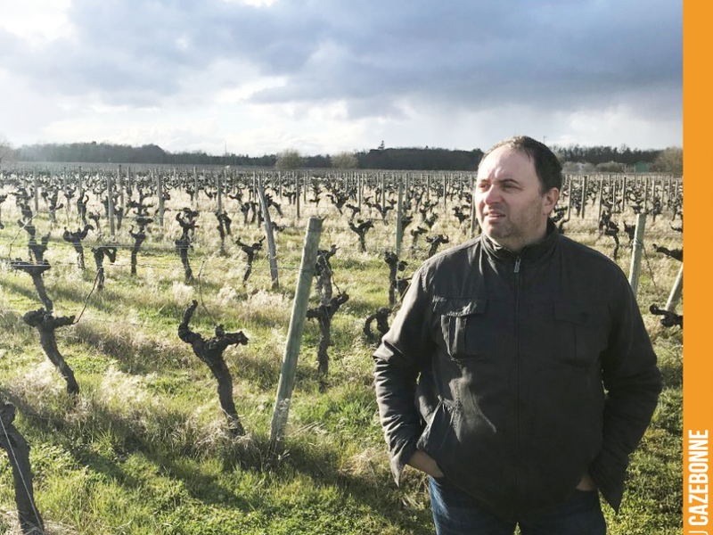 A year ago, I launched the crazy project of inviting you to become co-owners of vines at Château Cazebonne.
For 12 months now, I have been looking for vines to acquire. Not an easy task, as vi...