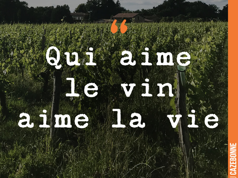 Qui aime le vin aime la vie