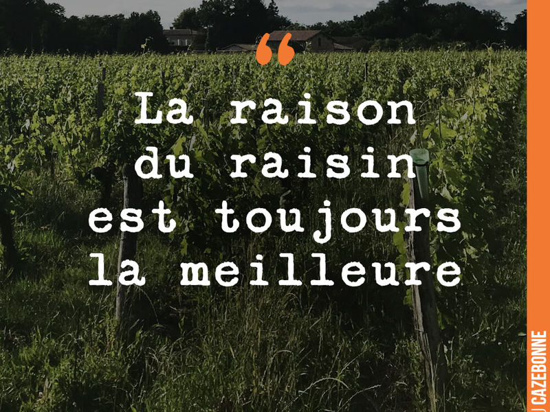 La raison du raisin est toujours la meilleure
