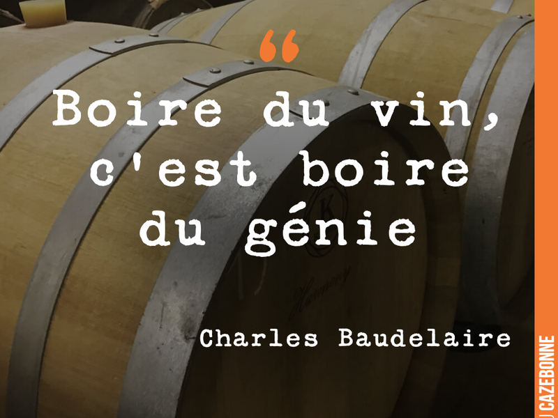 Boire du vin, c'est boire du génie