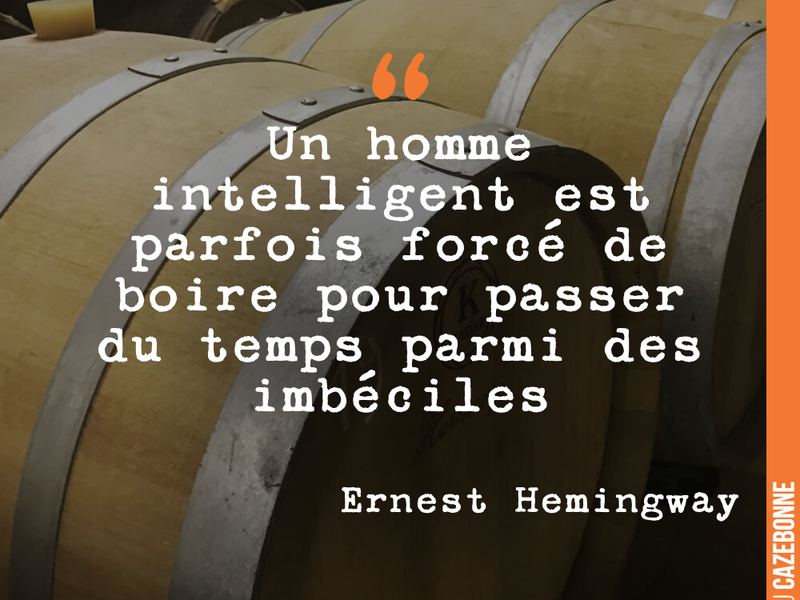 Un homme intelligent est parfois forcé de boire pour passer du temps parmi des imbéciles