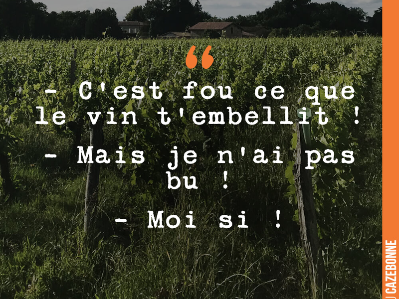 - C'est fou ce que le vin t'embellit ! - Mais je n'ai pas bu ! - Moi si !