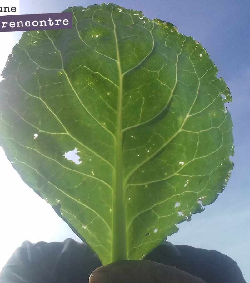 Yesterday, Francis left the Cazebonne team to return to his native Champagne. We are losing a true lover of nature, passionate about botany, who was also our photographer in the vineyards, on a da...