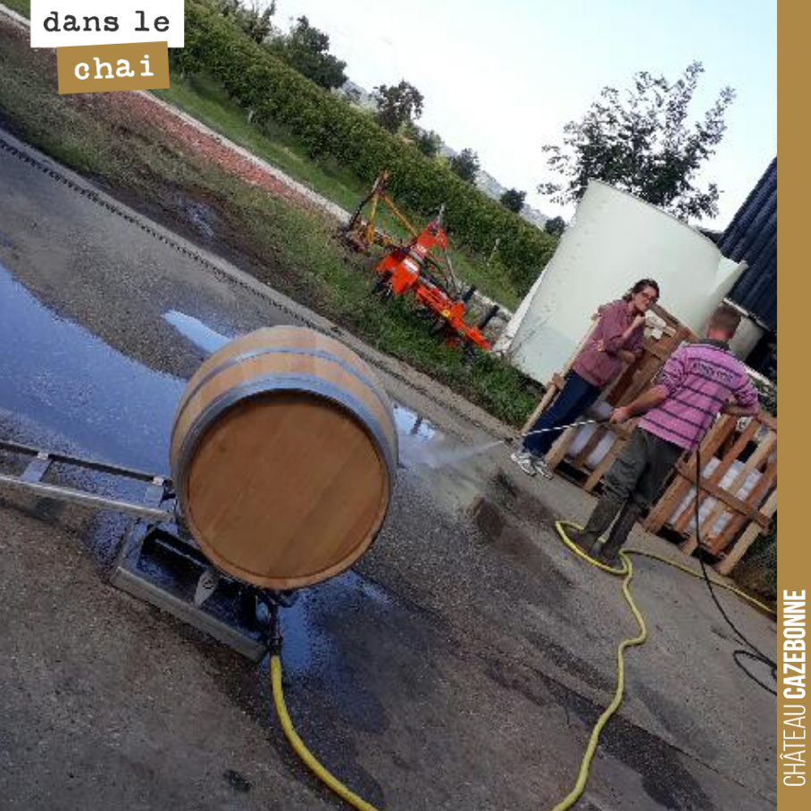 One by one, we are cleaning the white wine barrels that will be used for the fermentation of the Sémillon. A preliminary sulphuring of the barrel will be carried out by burning volcanic sulphur.