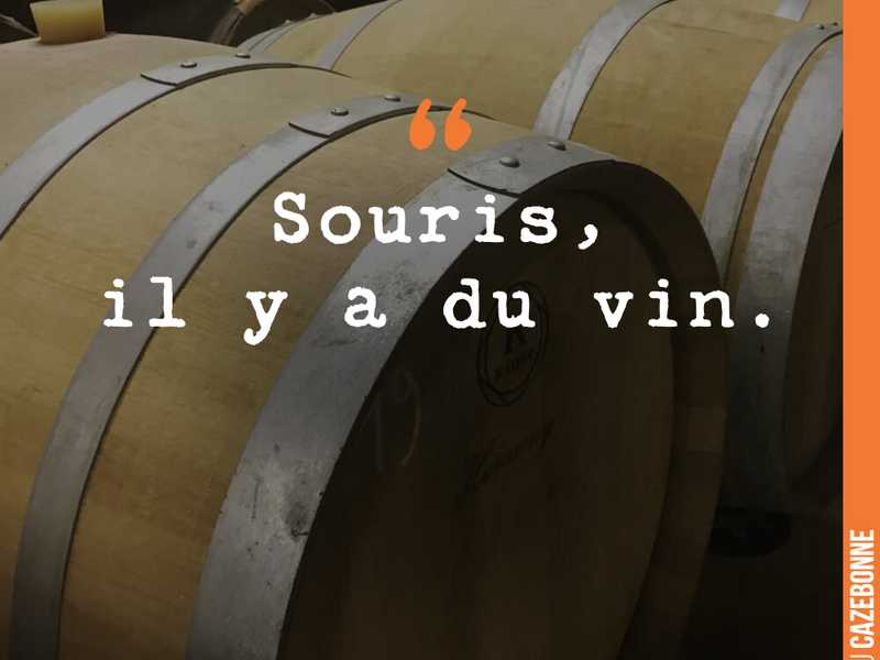 Souris, il y a du vin
